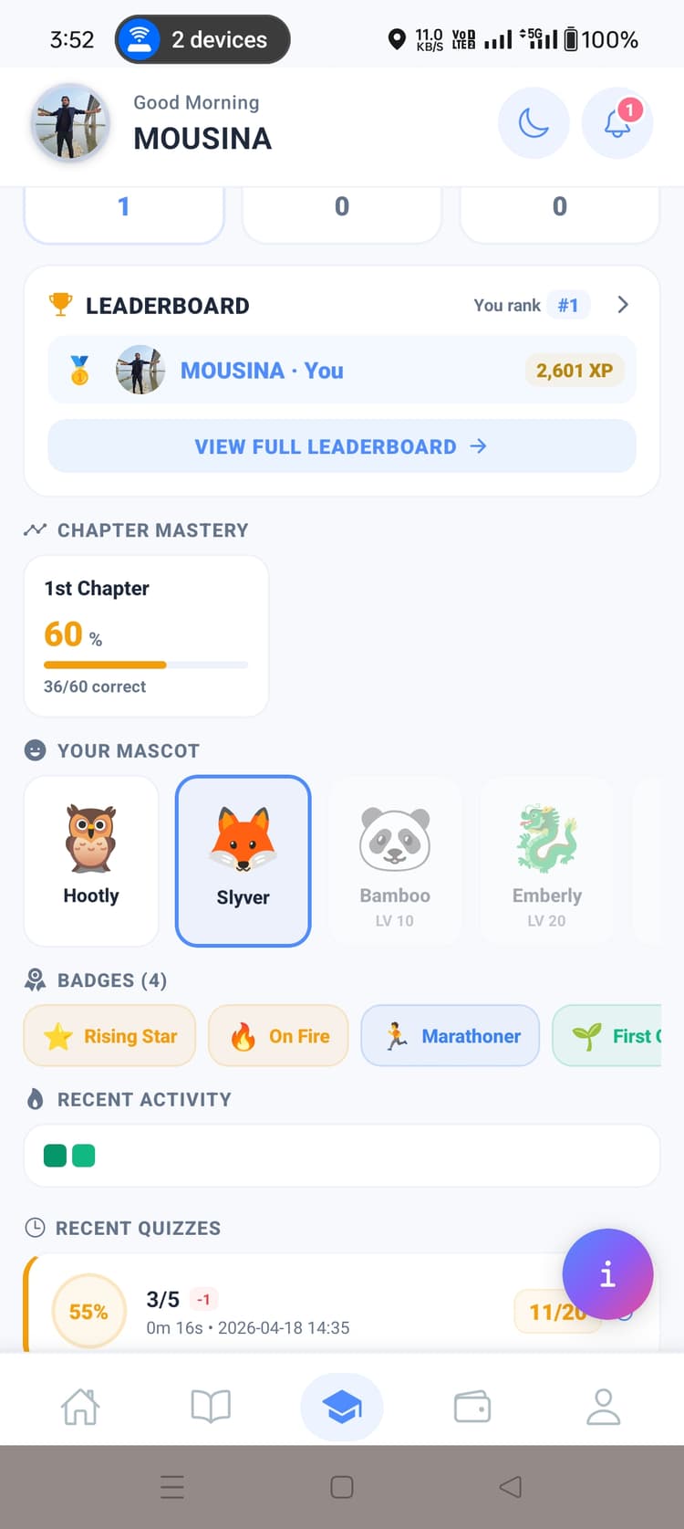 Leaderboard · Chapter mastery · Mascots · Badges